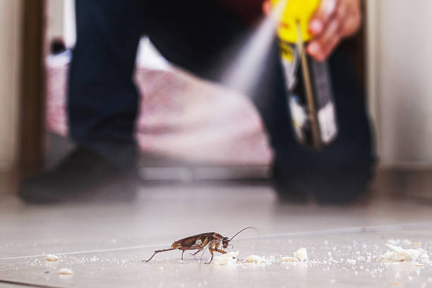 Best Wildlife Control Services  in Mountainside, NJ